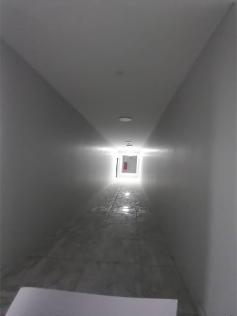 صورة العقار